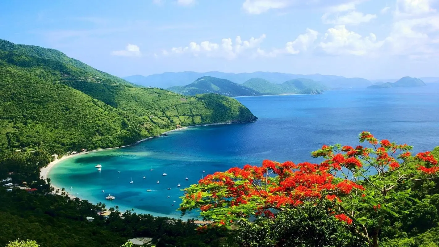 高标准自动化节能